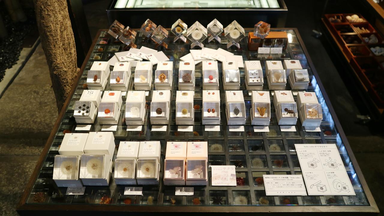 京都兔之床旅馆别墅 外观 照片